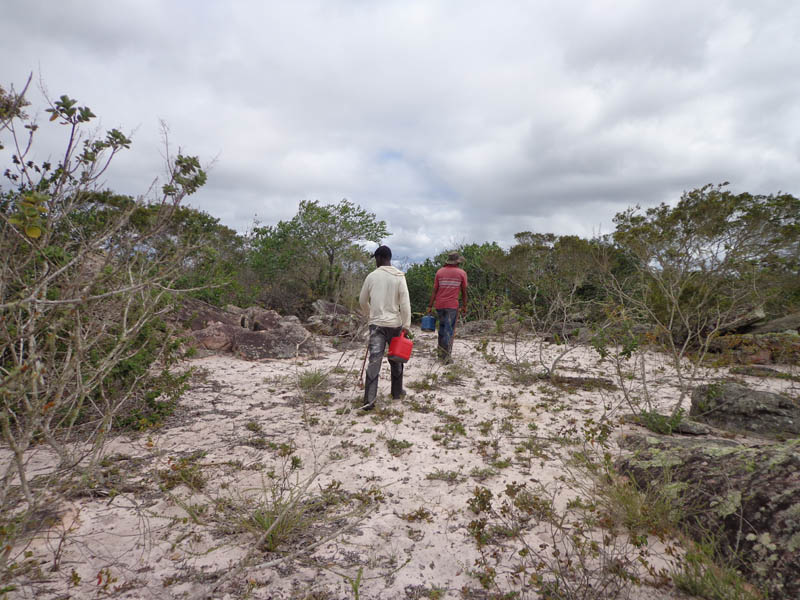 Parque Eólico Boa Vista Da Lagoinha, No Município Cafarnaum-BA