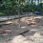 Resgate-Arqueológico-no-Jardim-Zoológico_2_1-11